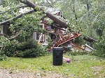 Storm damage fallen trees